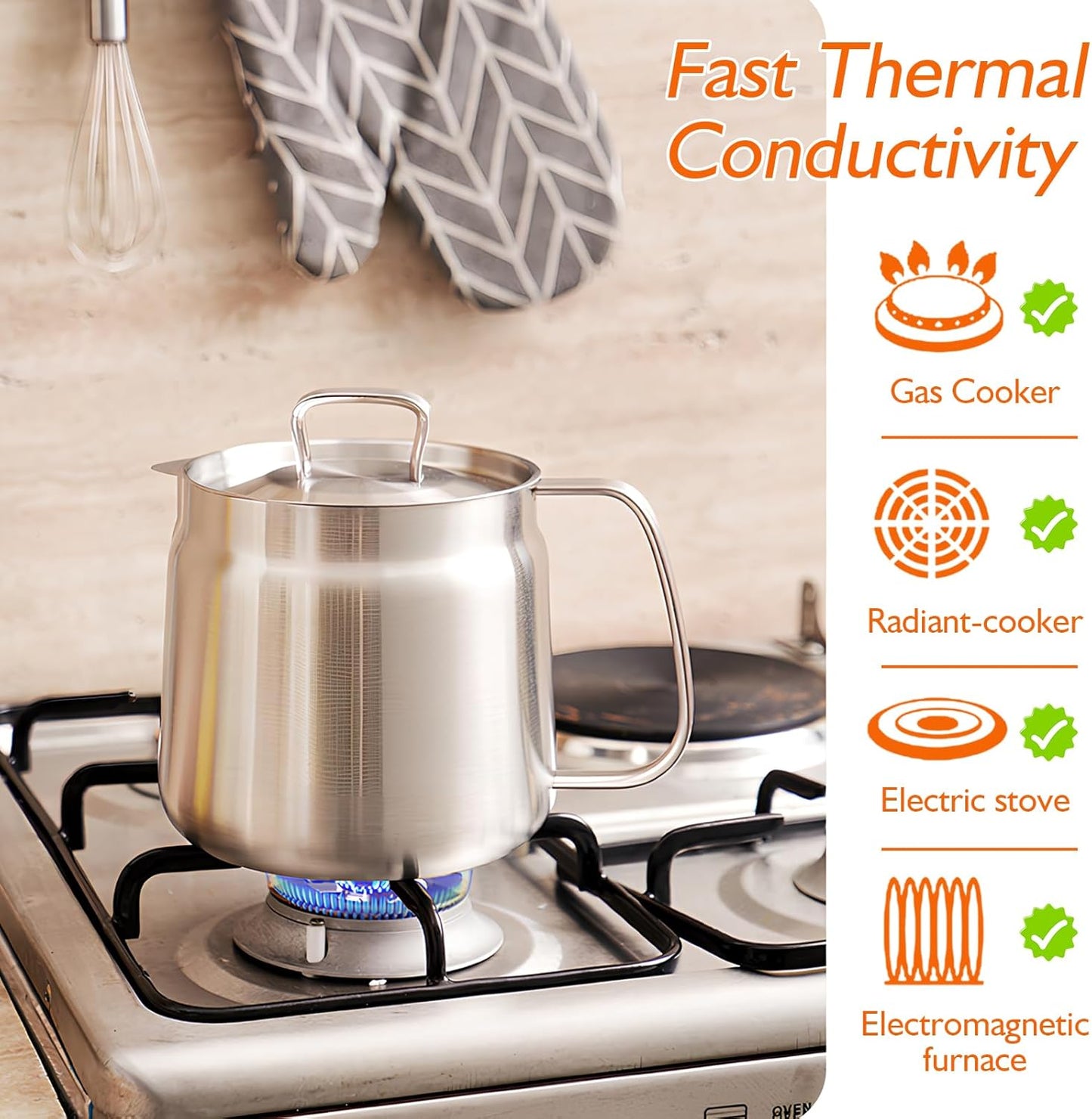Crisp & Clean Fry Pot (Stainless Steel)